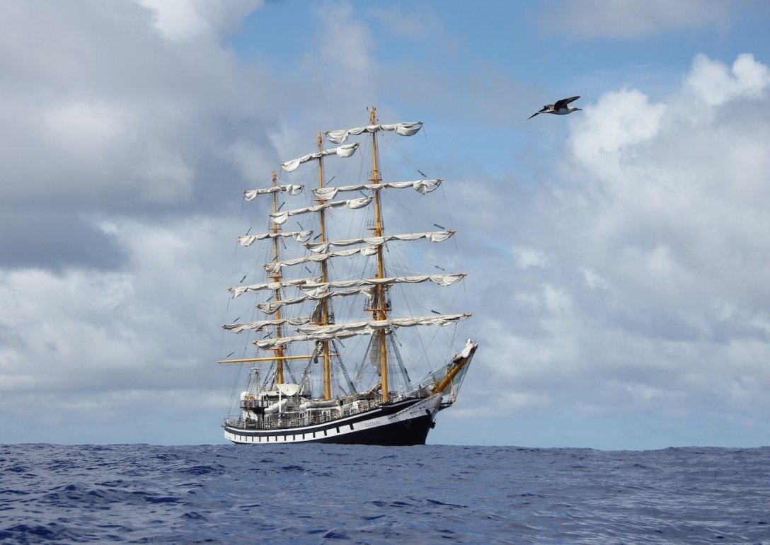 Паллада корабль Владивосток