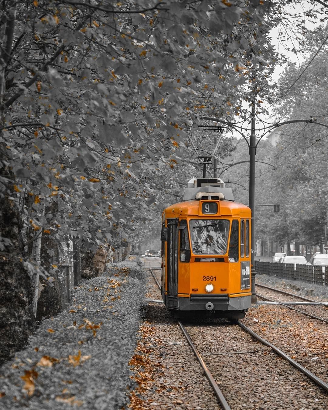 Живописный трамвай