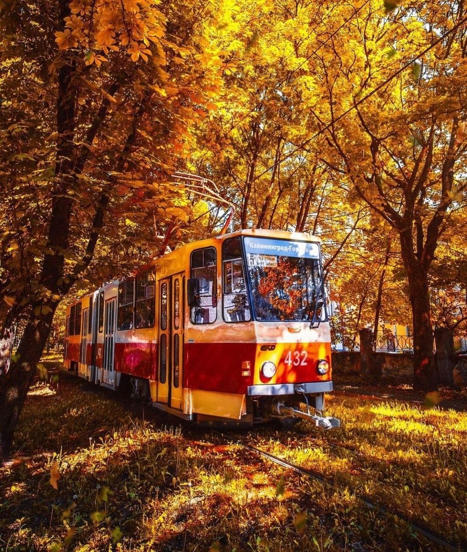 Калининград аллея трамвай