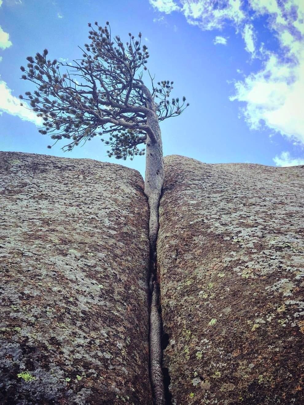 Ирина Зенюк синие