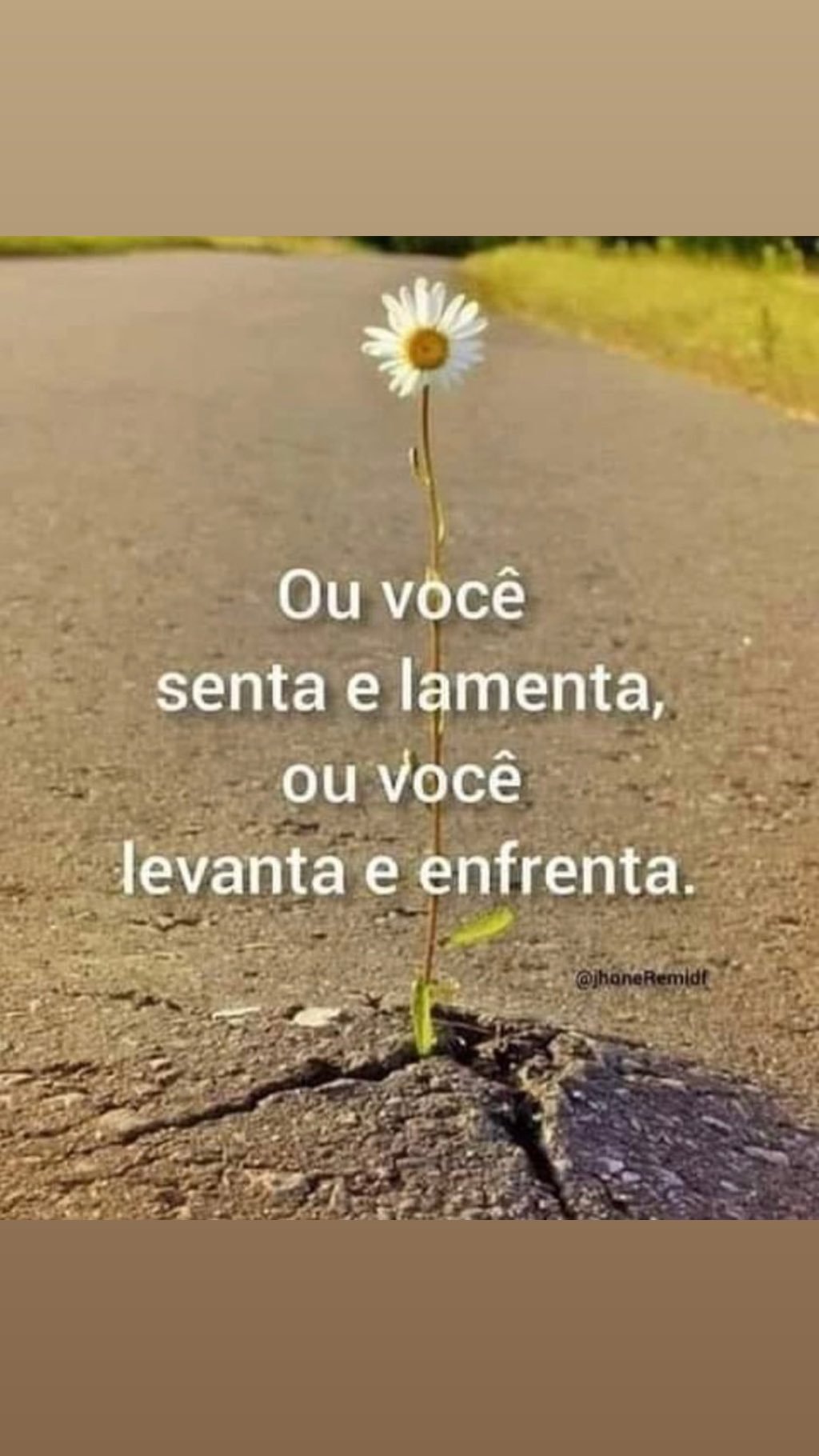 Пофигизм спасает мир