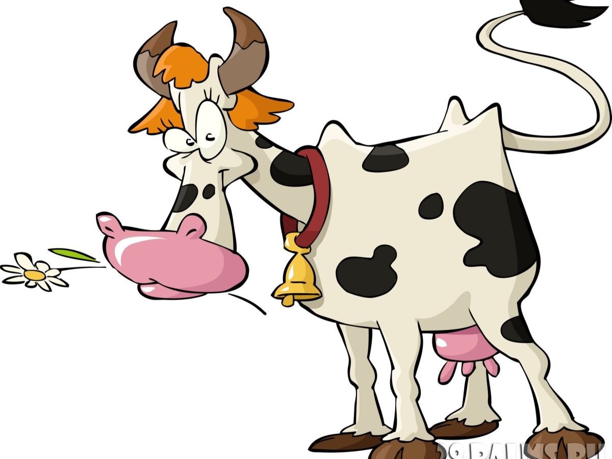 Стройная корова