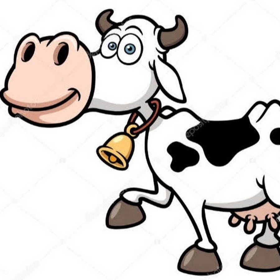 Картинки скот кантон