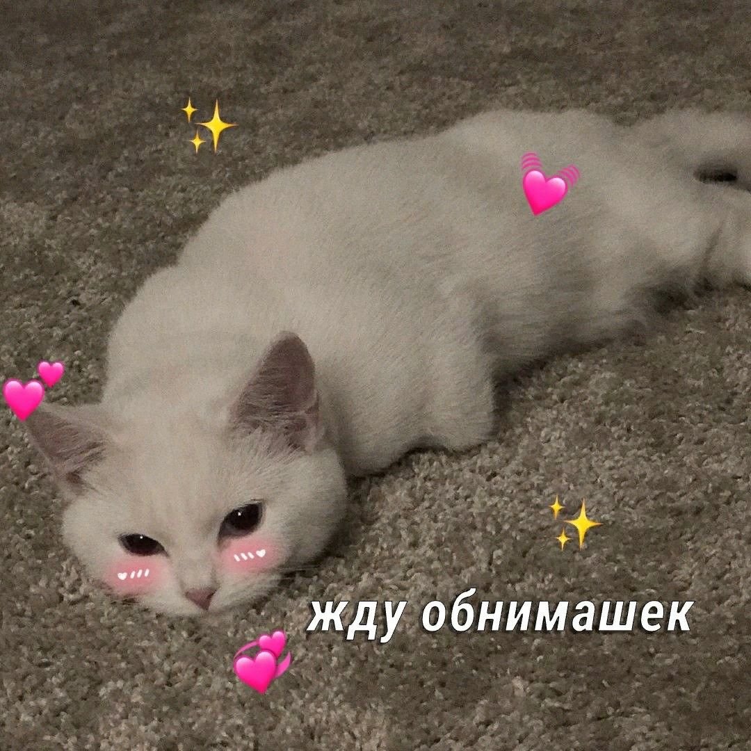 Человек умеющий обнимать