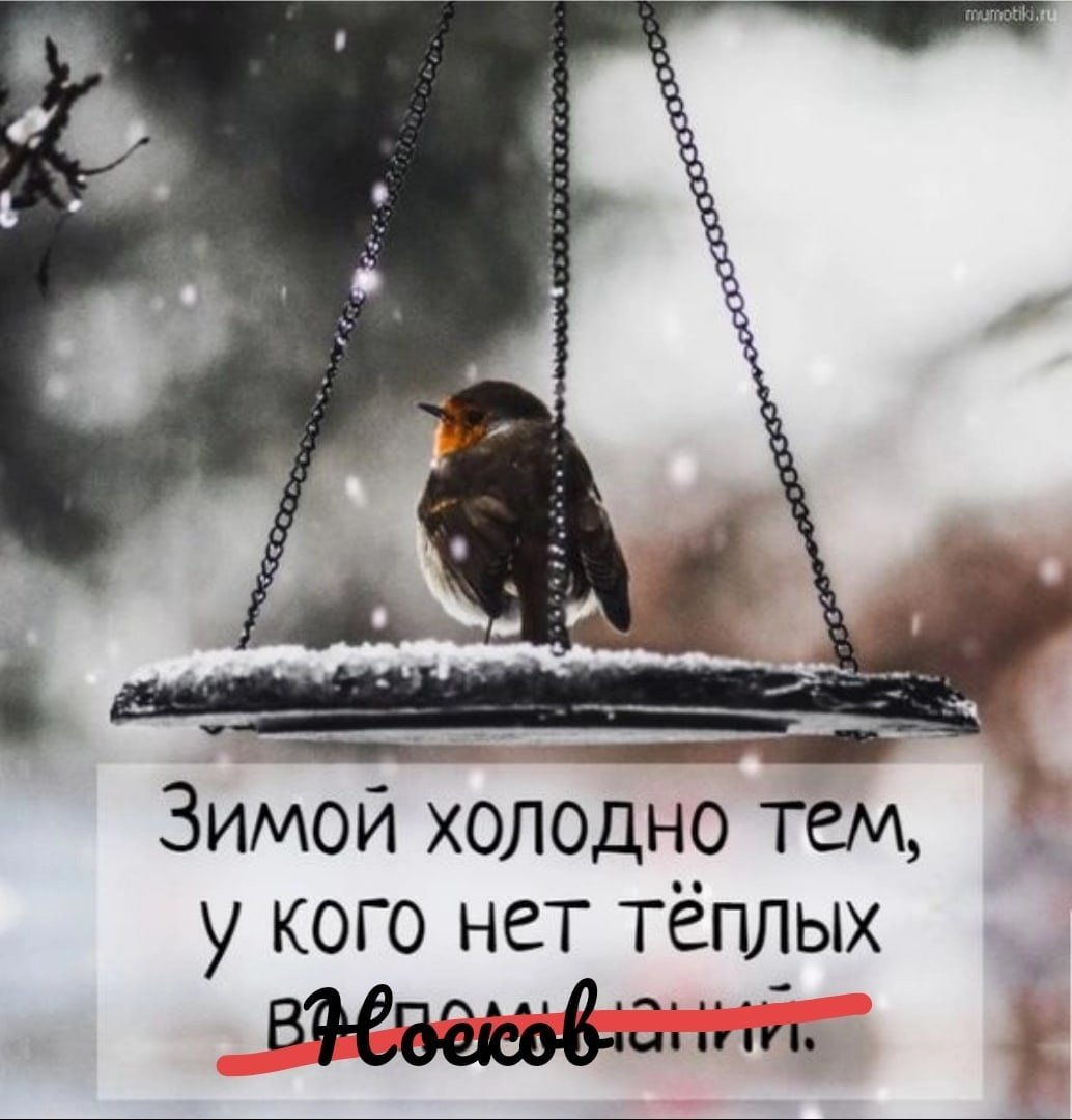 С первым зимним днем