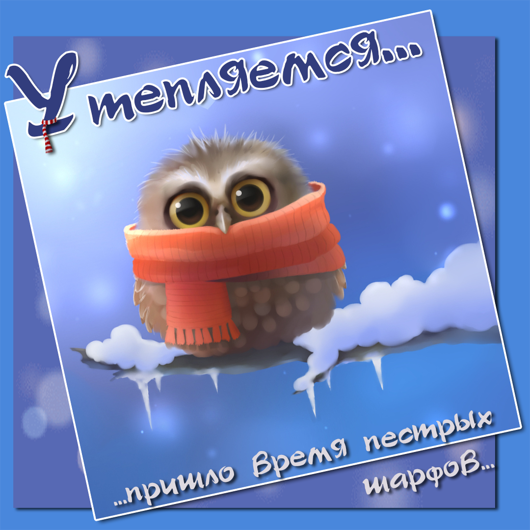 Кот в шарфе с чаем