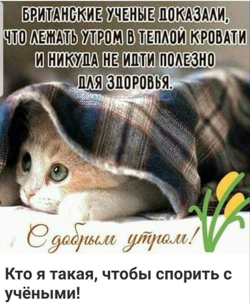 Доброе морозное утро прикольные