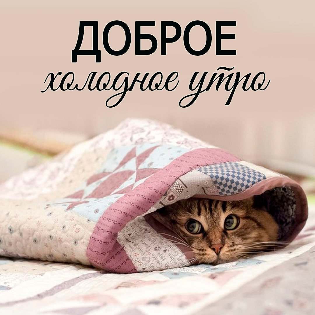 Доброе утро холодно