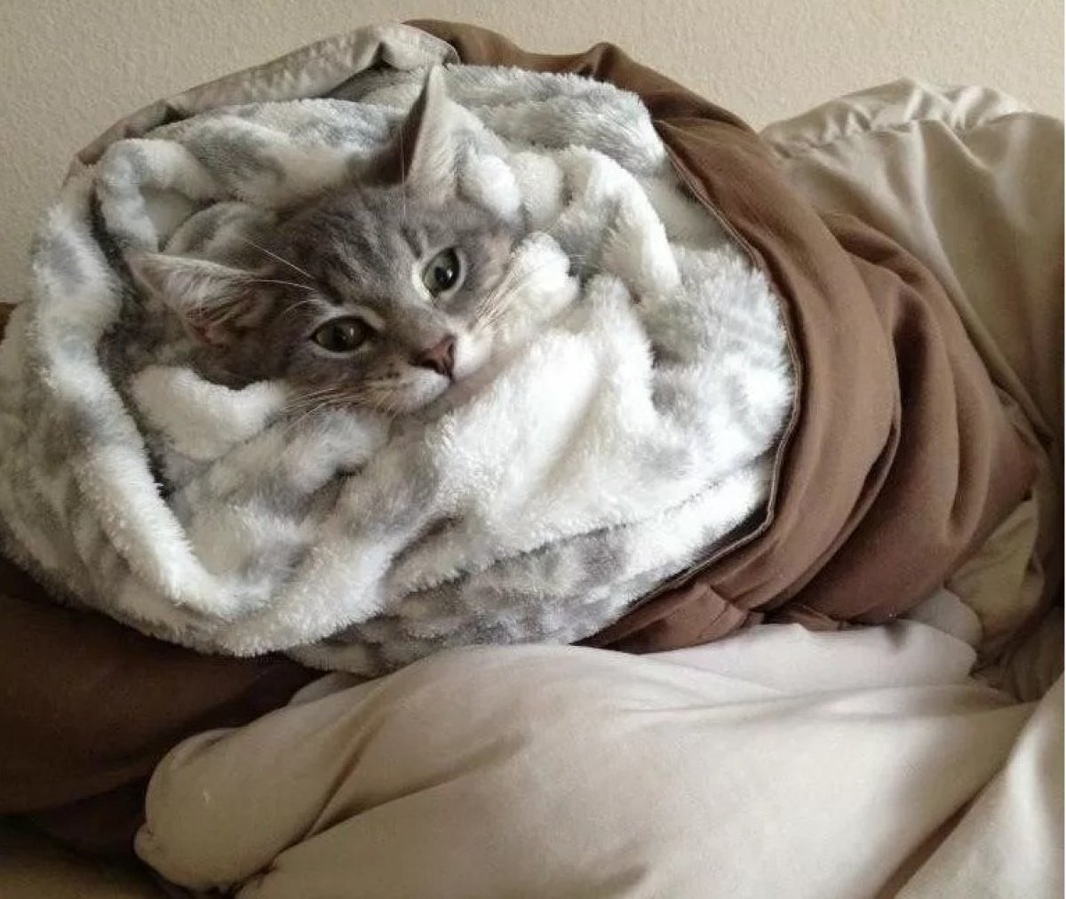 Уютные кружки