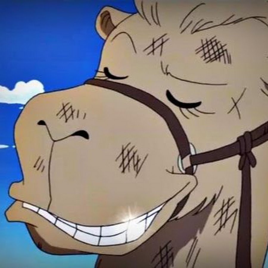 Верблюд лежит