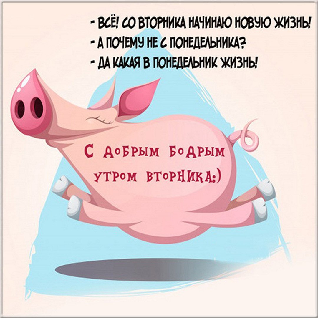 Смешные анекдоты про вторник