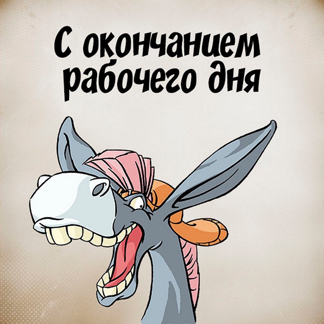 Кошка улыбается