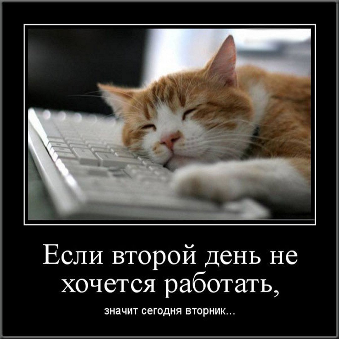 Пожелания на вторник прикольные