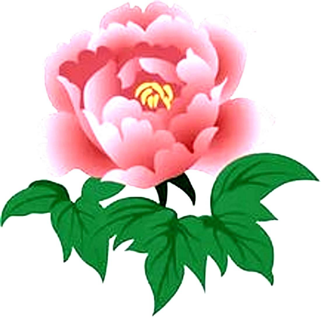 Пионы мультяшные