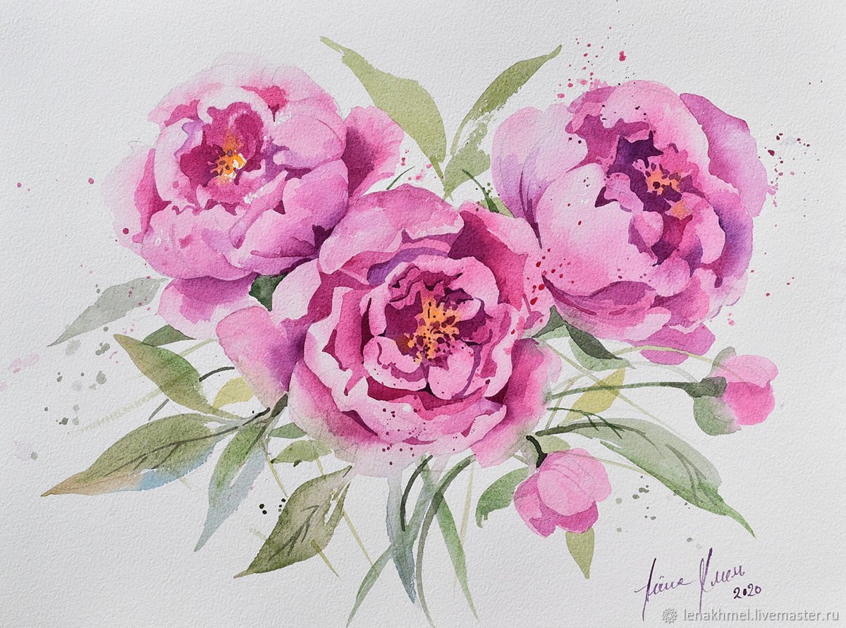 Пионы Marianne Broome