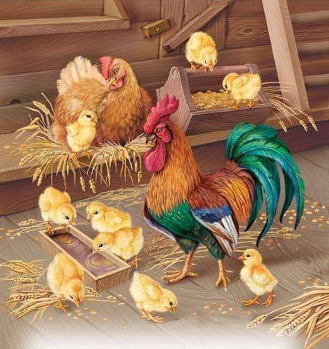 Курочка с цыплятами