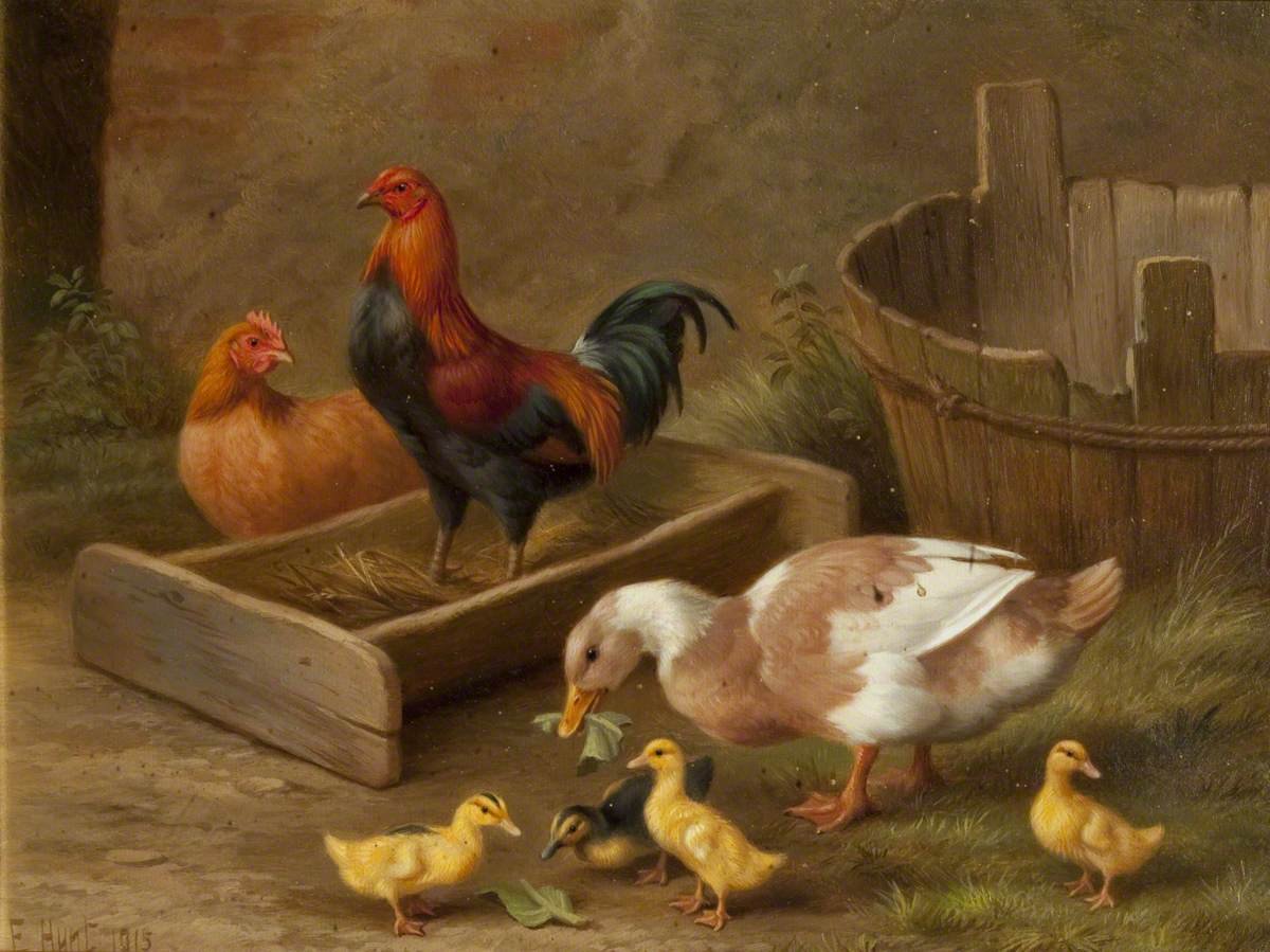 Курятник картина