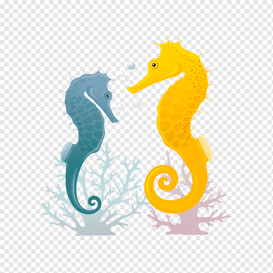 Морской конек арт