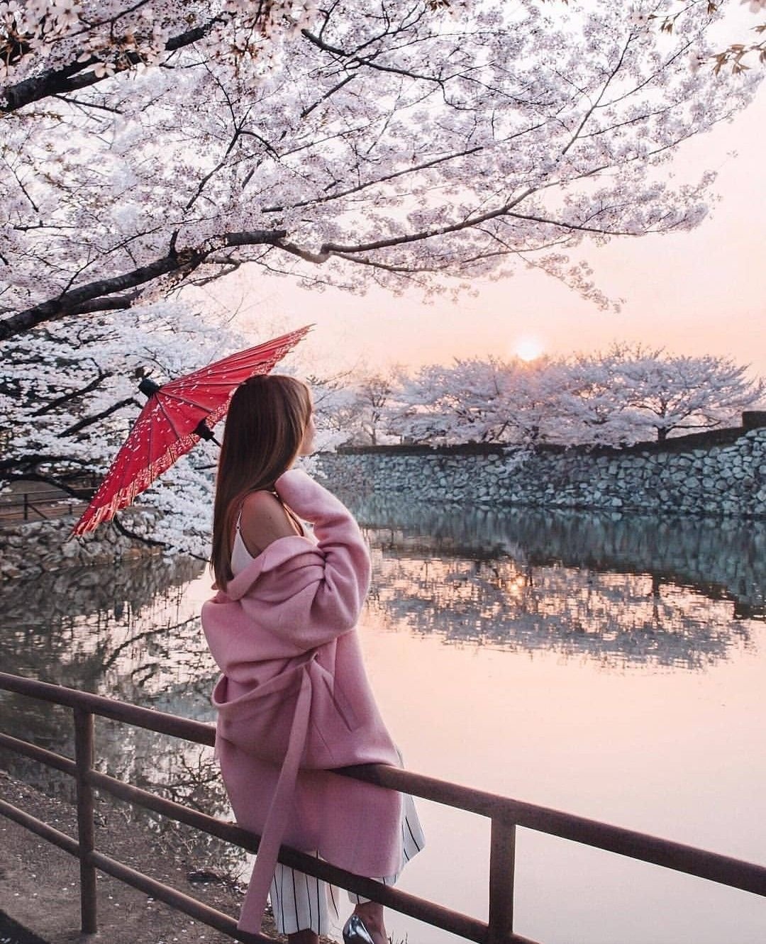 Любование природой в Японии