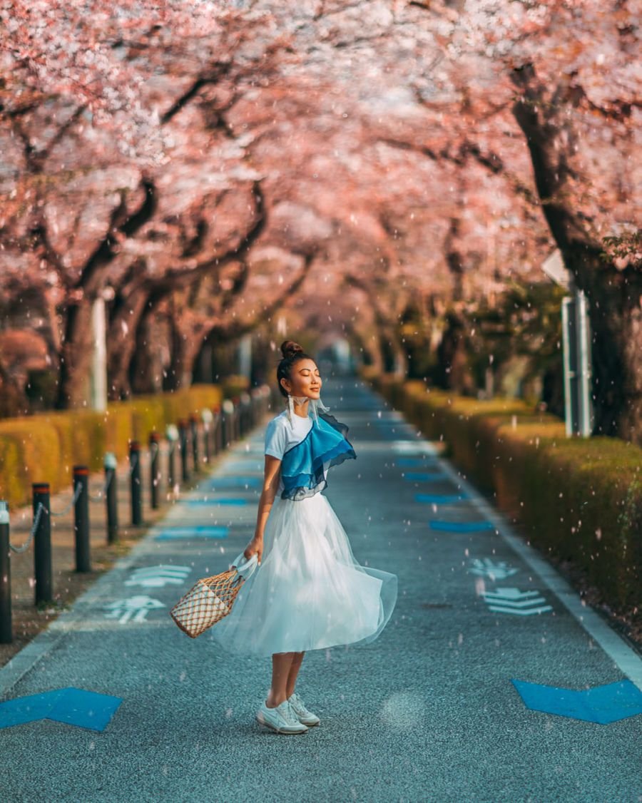 Сакура сейчас в Японии