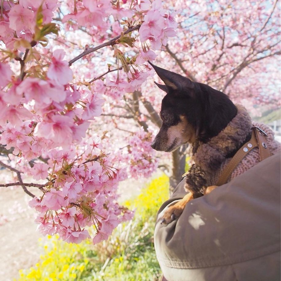 Весна для инстаграмма