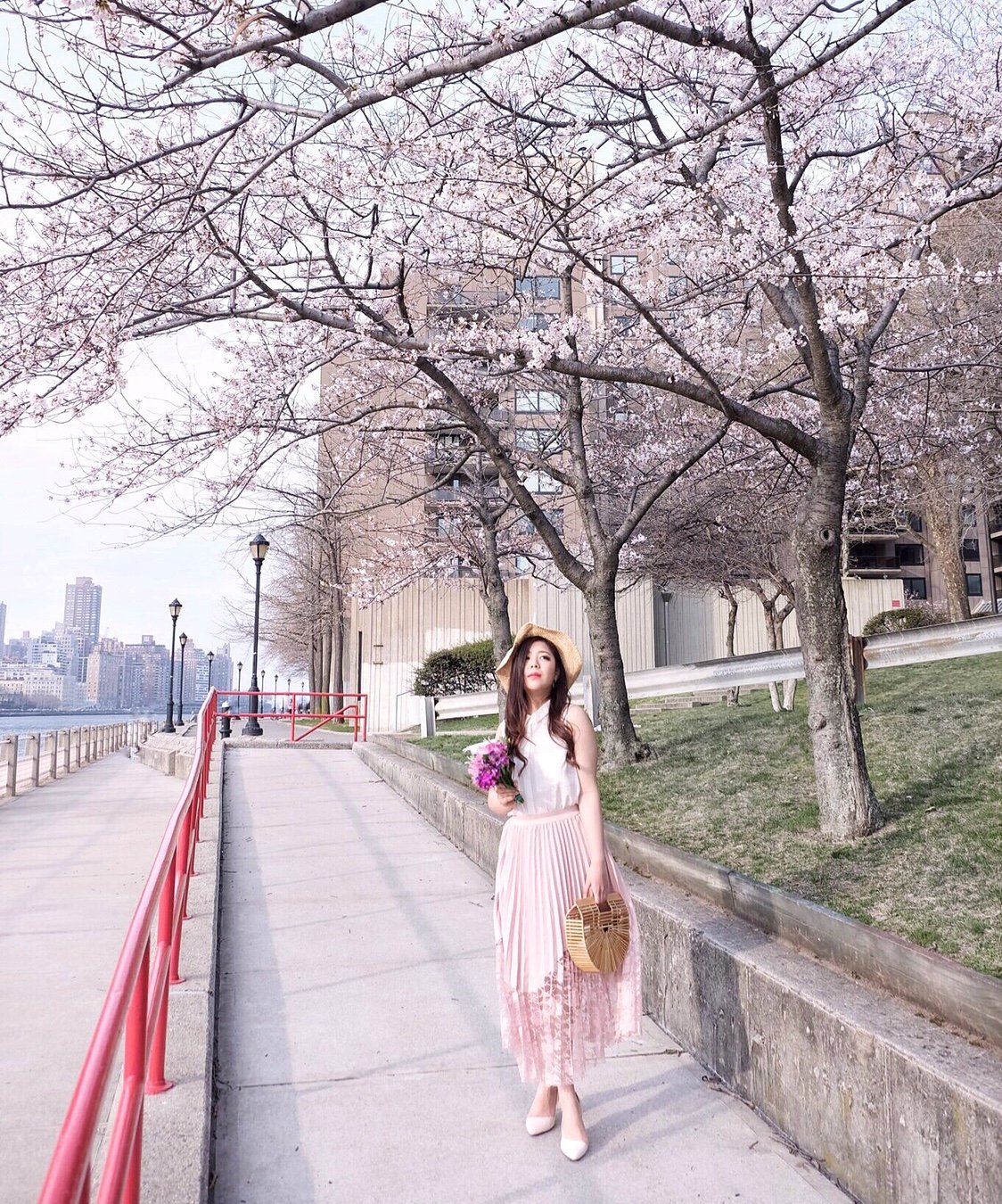 Сакура блоггер