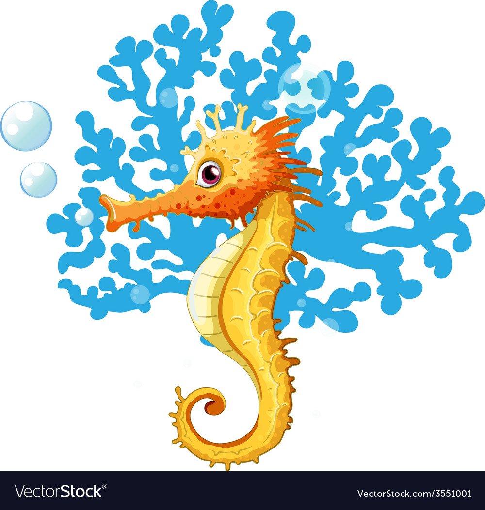 Конек МОРСКОЙНА белом воне