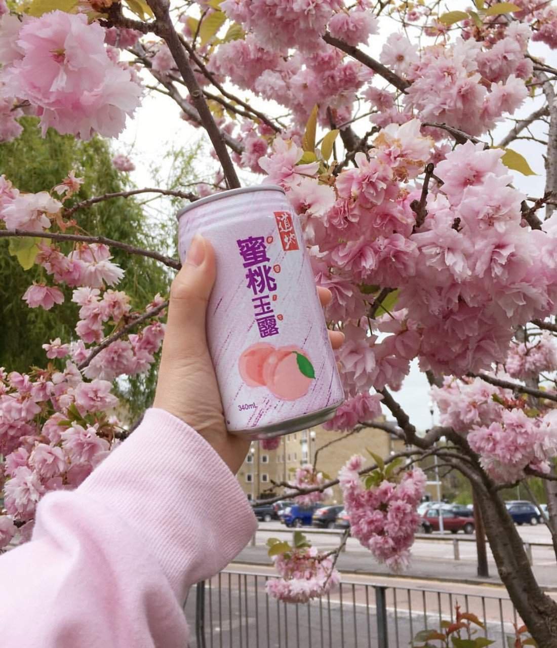 Эстетика розового Корея