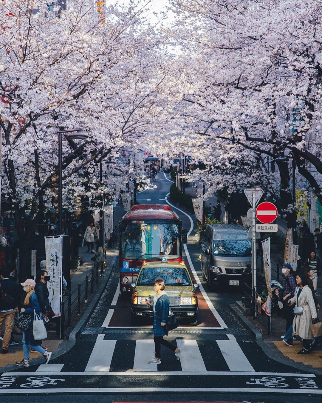 Южная Корея город Синчанг