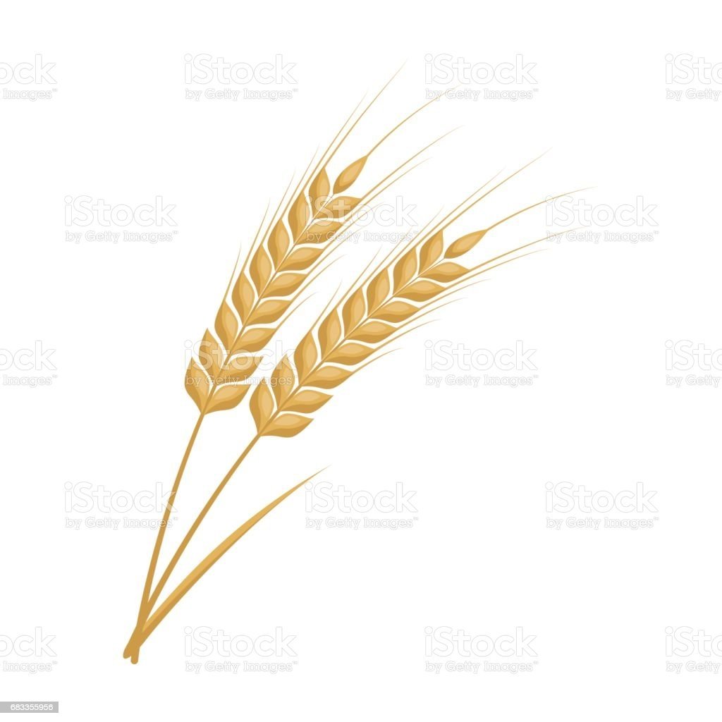 Колоски пшеницы для вырезания