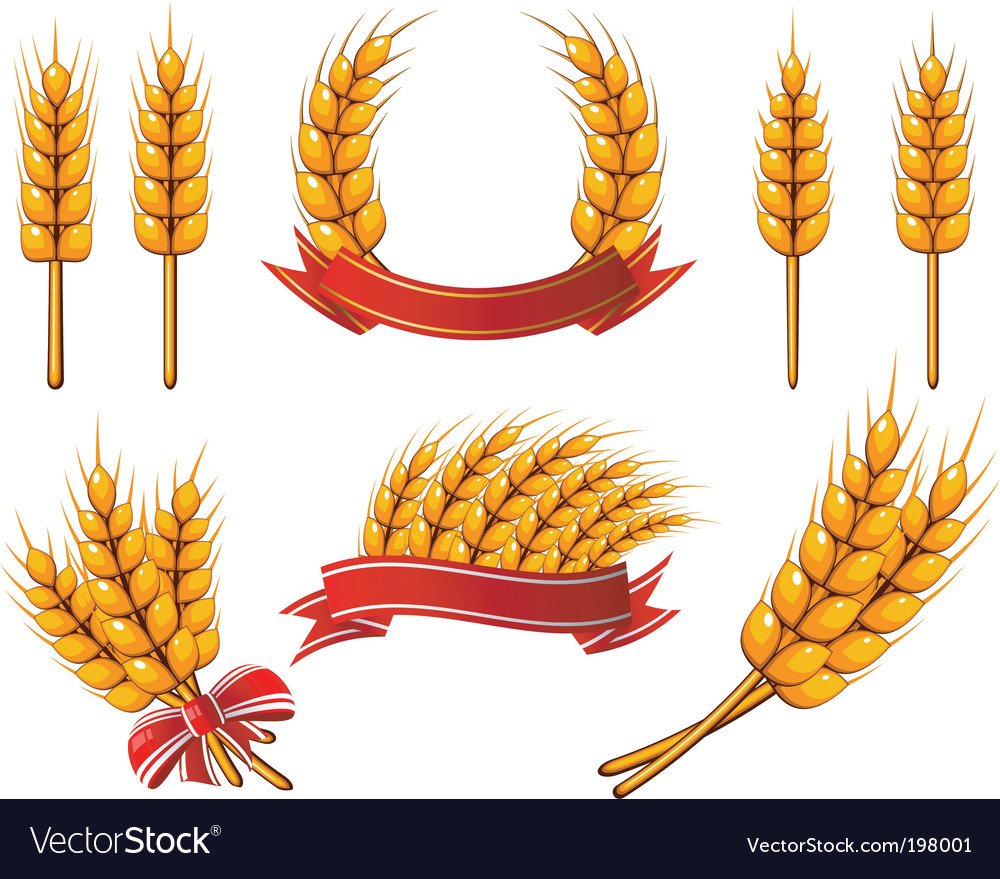 Пшеница в Советской геральдике