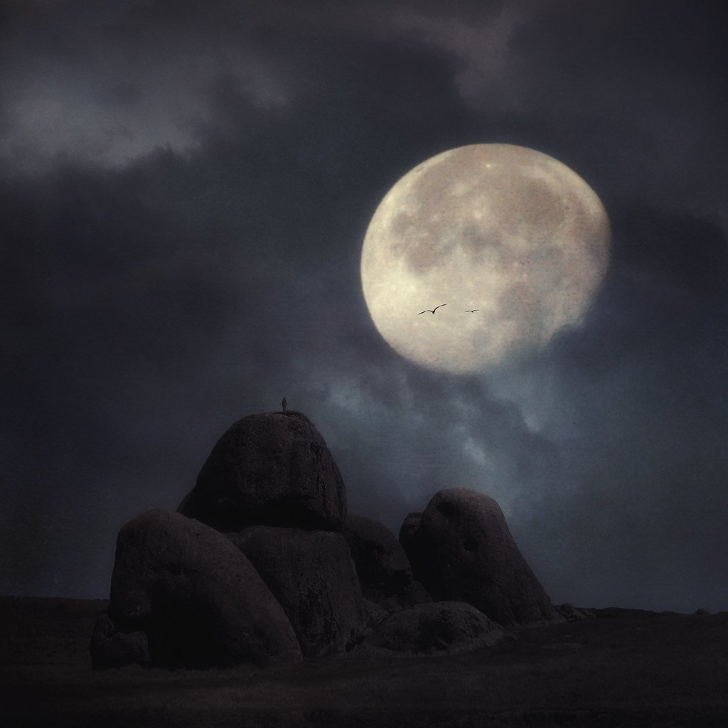 Картины одинокой Луны