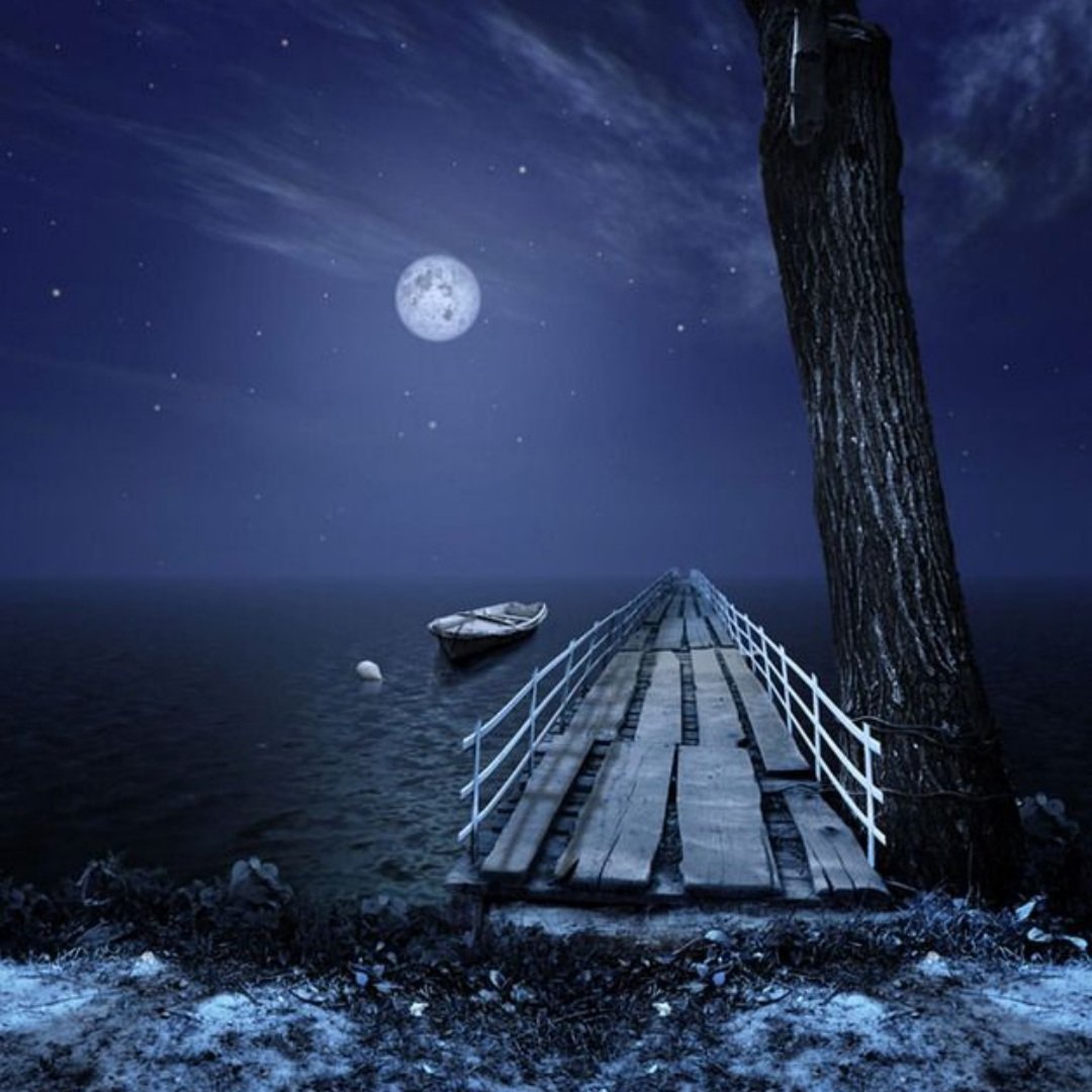 Волшебная Лунная ночь