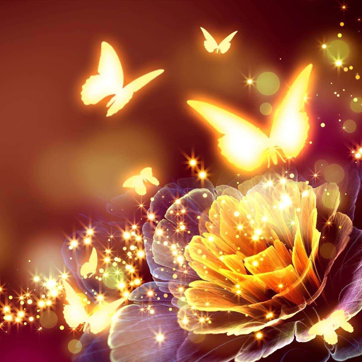 Огненная бабочка