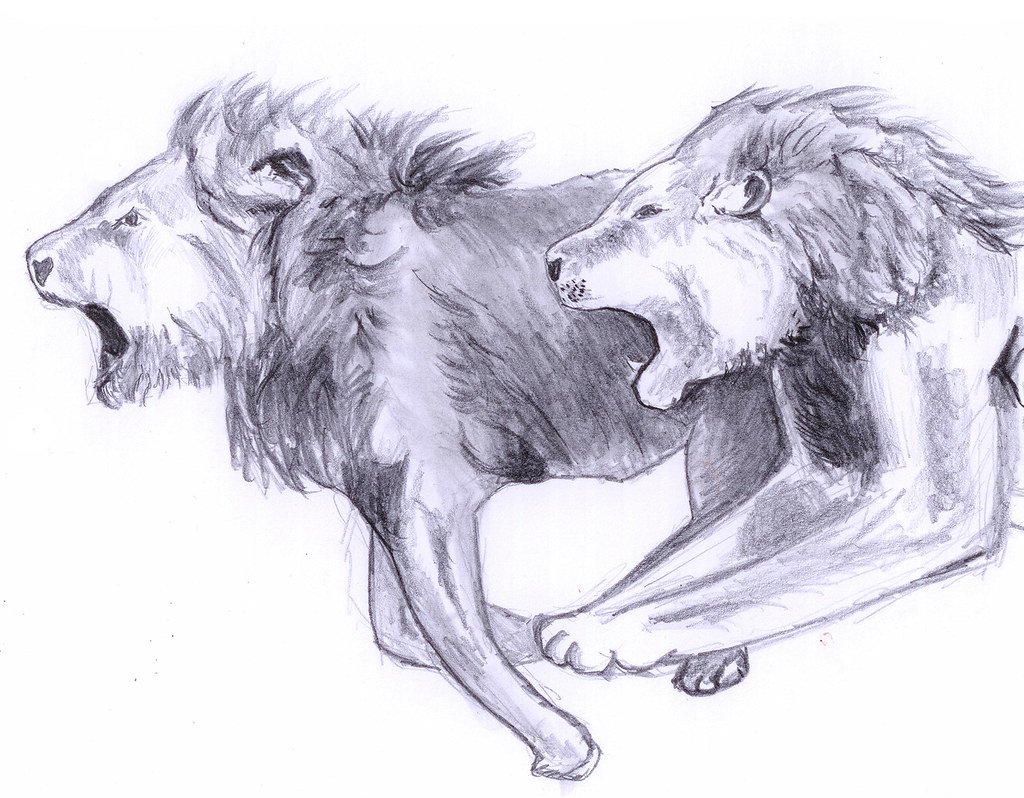 Лев и собачка толстой