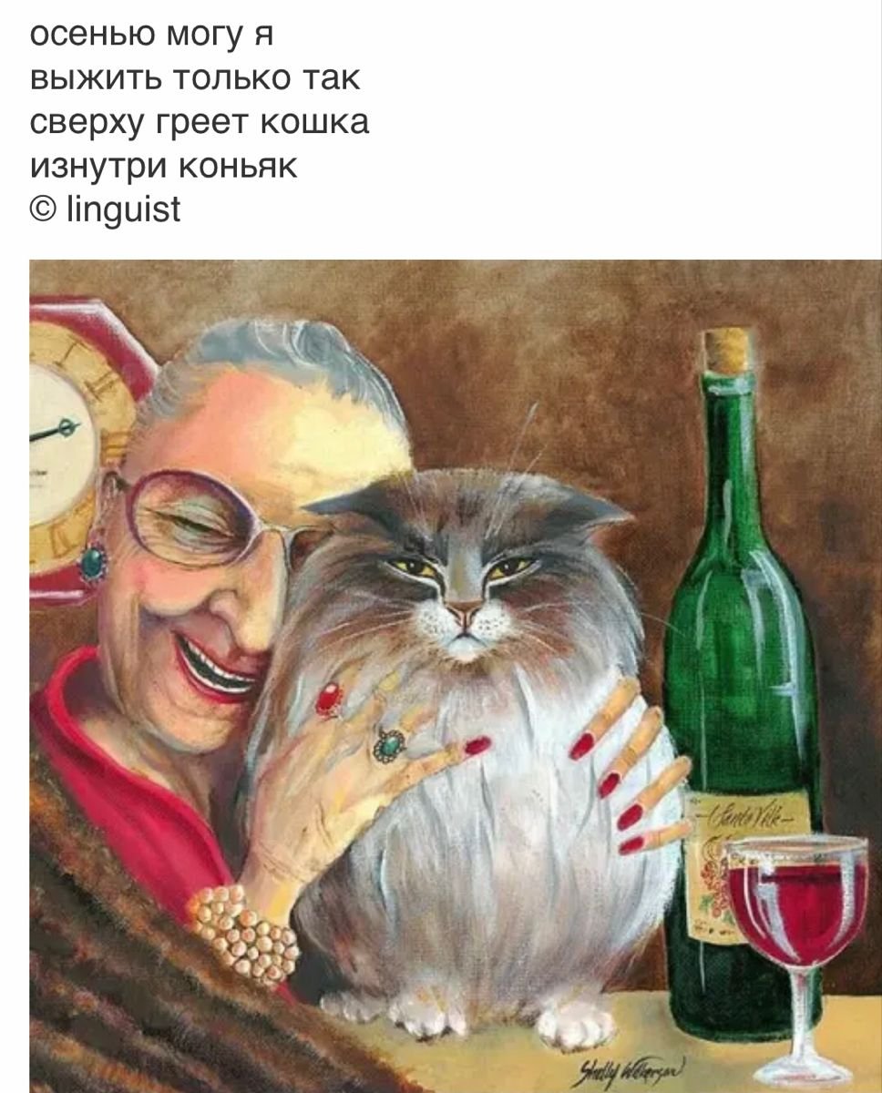 Эван Лазар спокойной ночи