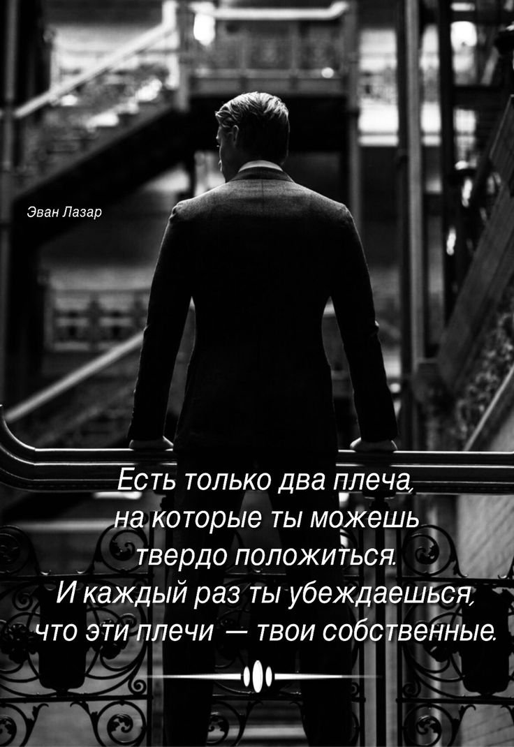 Эван Лазар открытки