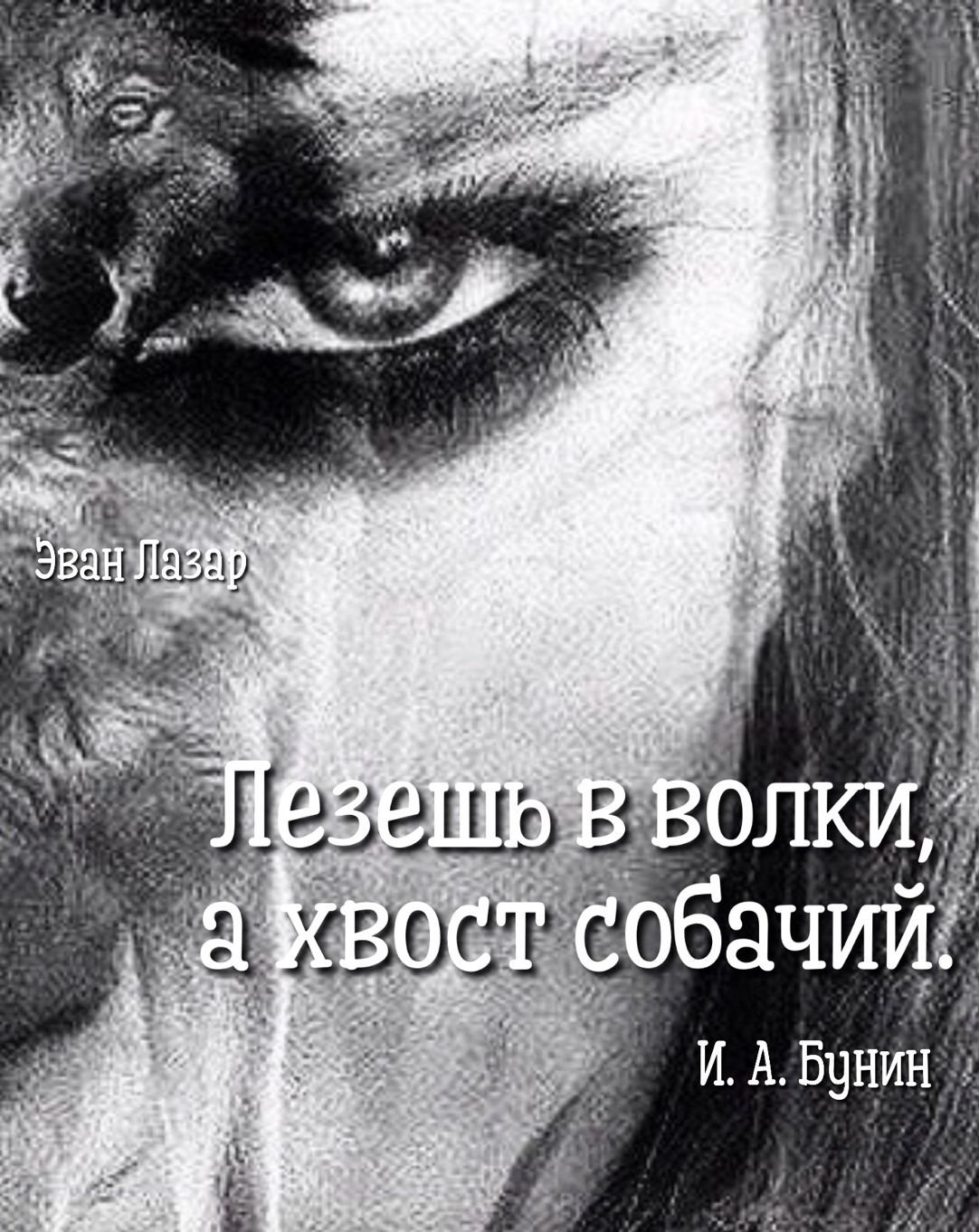 Эван Лазар картинки юмор