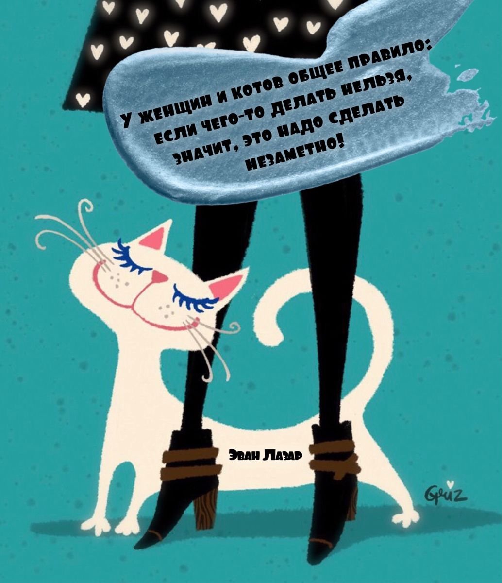 Эван Лазар юмор