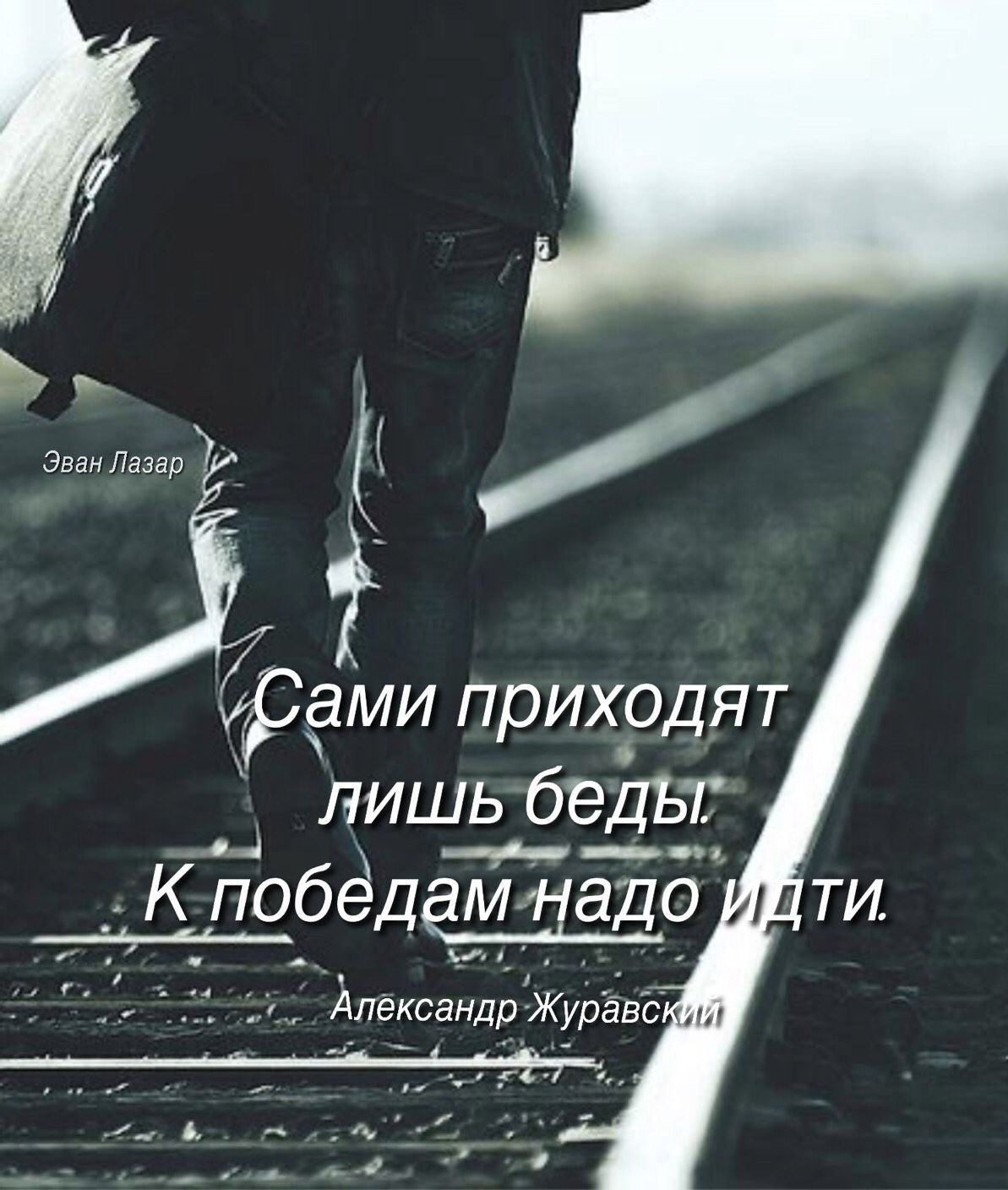 Эван Лазар картинки