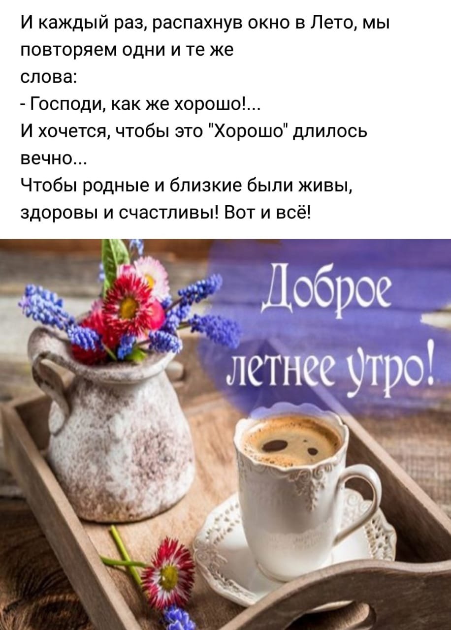 Доброе летнее утро