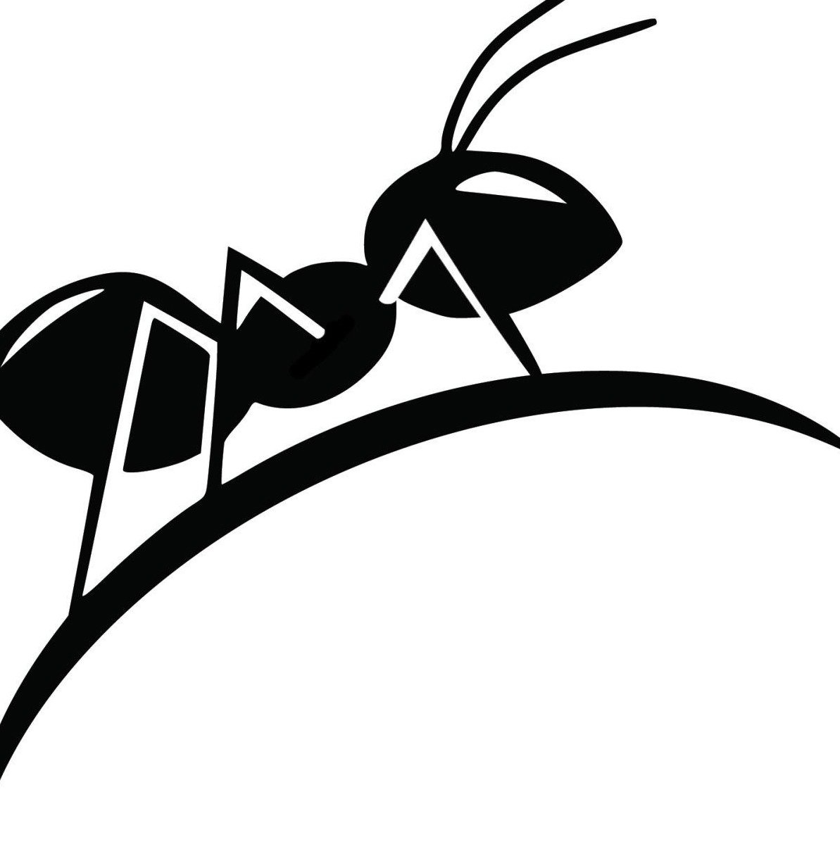 Муравейник жилище муравьев