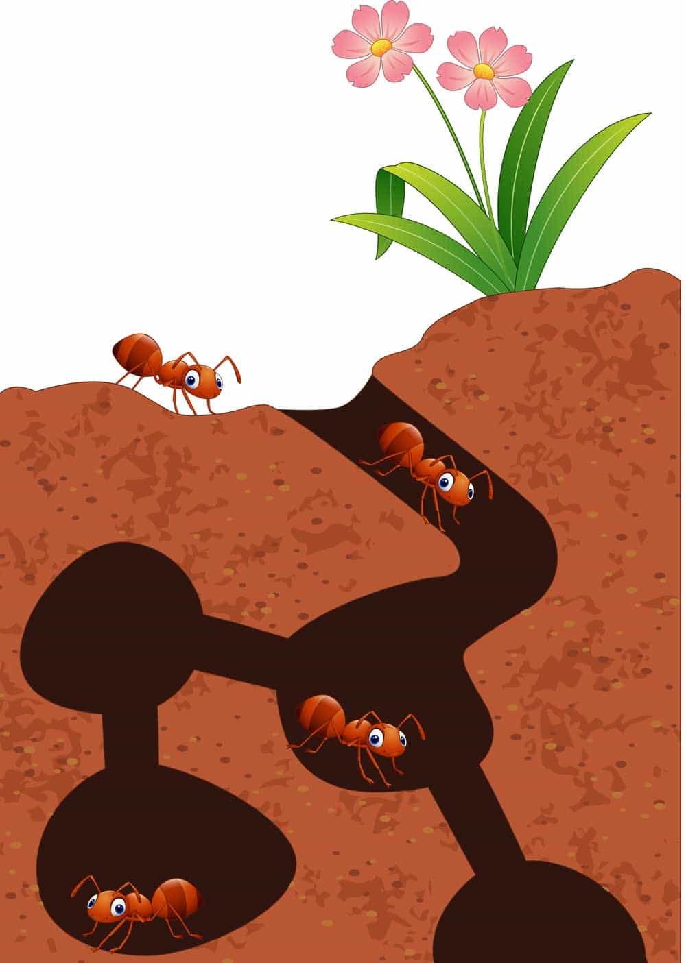 Муравейник дом муравьев для детей