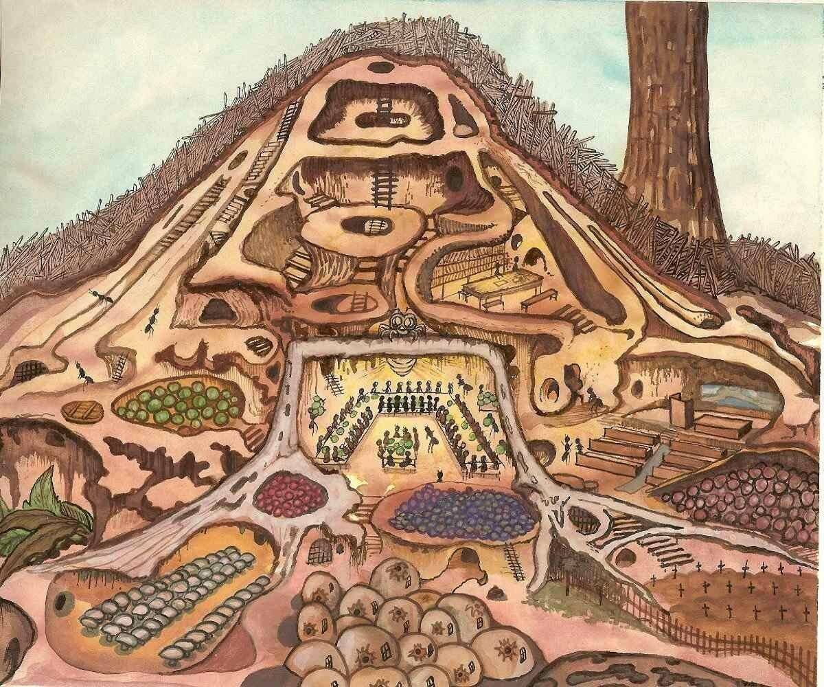 Строение гнезда муравьев