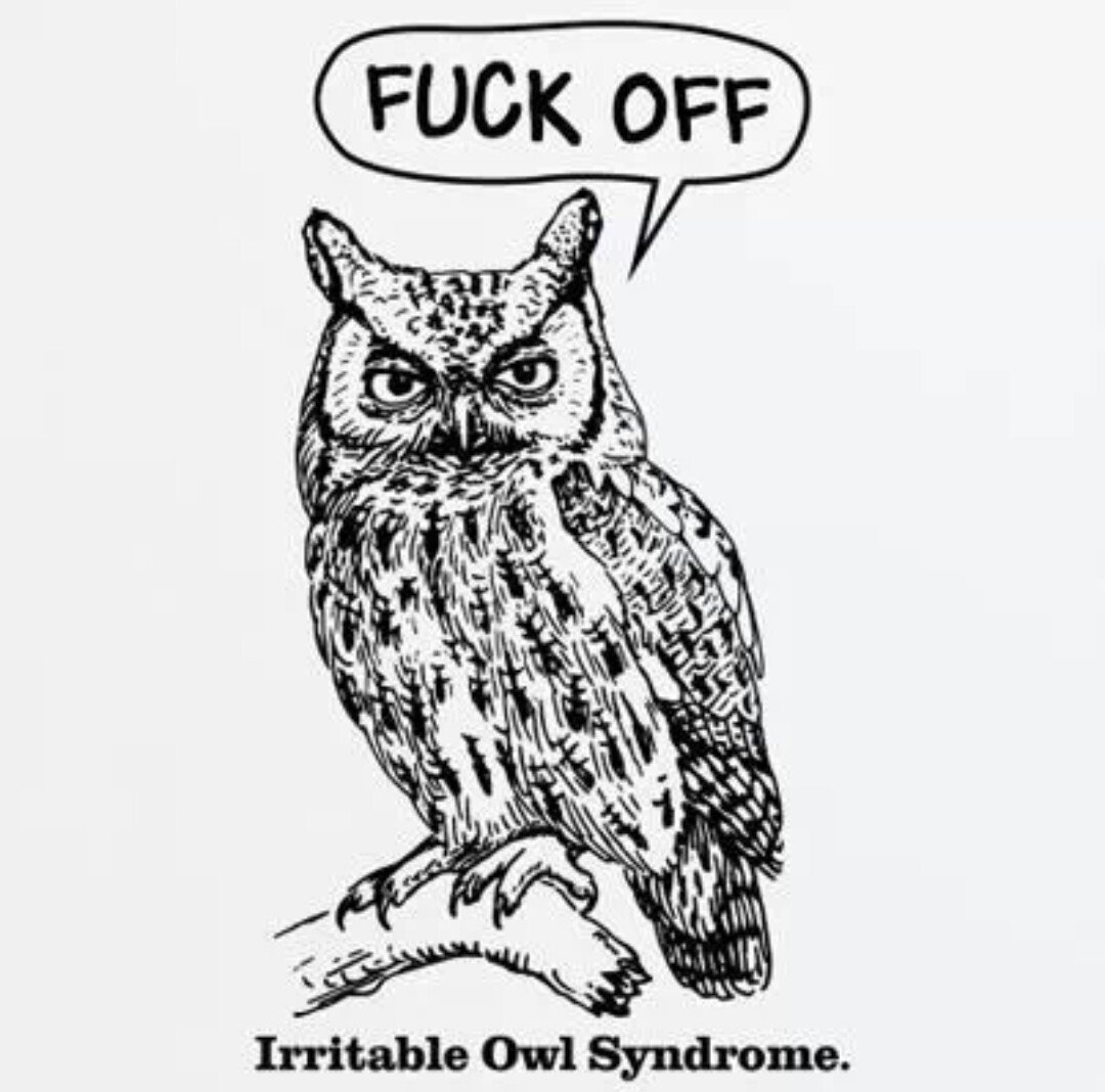 Ушастая Сова