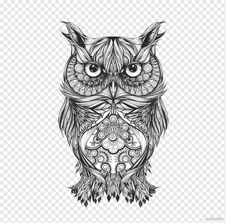 Тату Сова эскиз для девушек