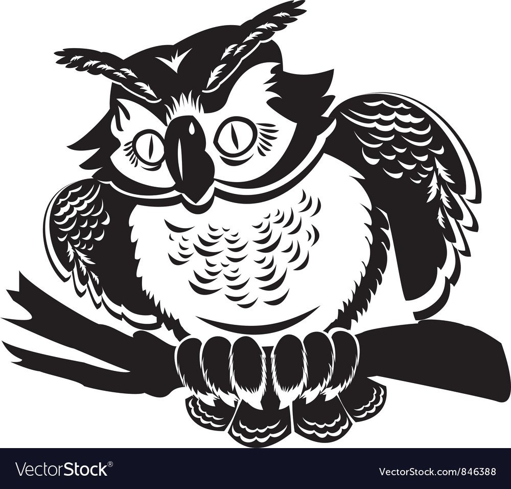 Сова для лазера черно белая