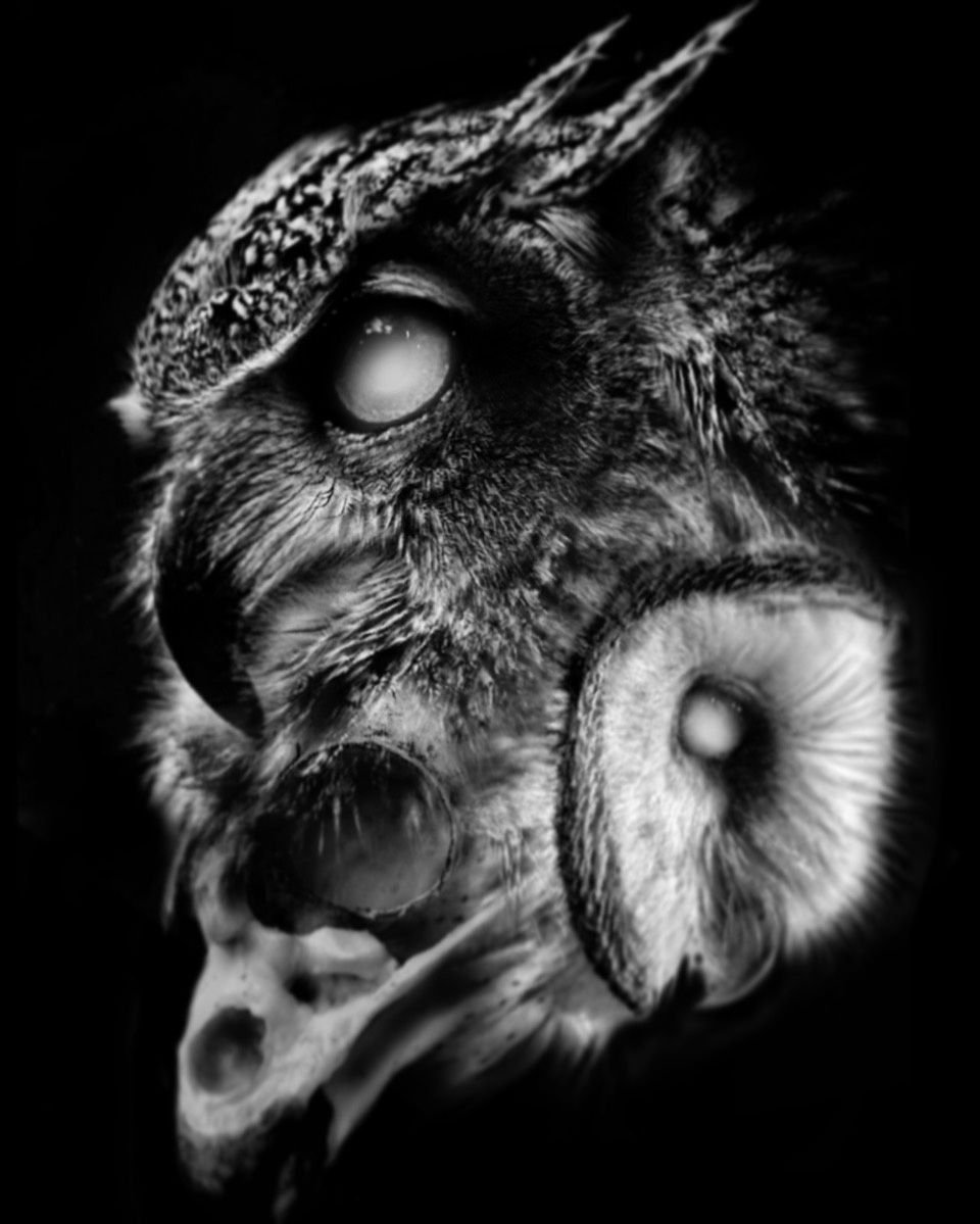 Рогатая Сова тату