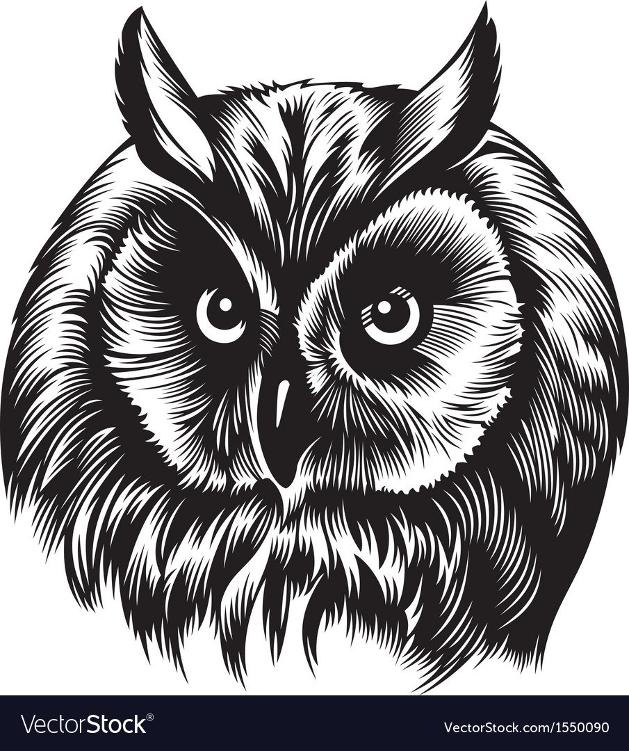 Сова для гравировки вектор