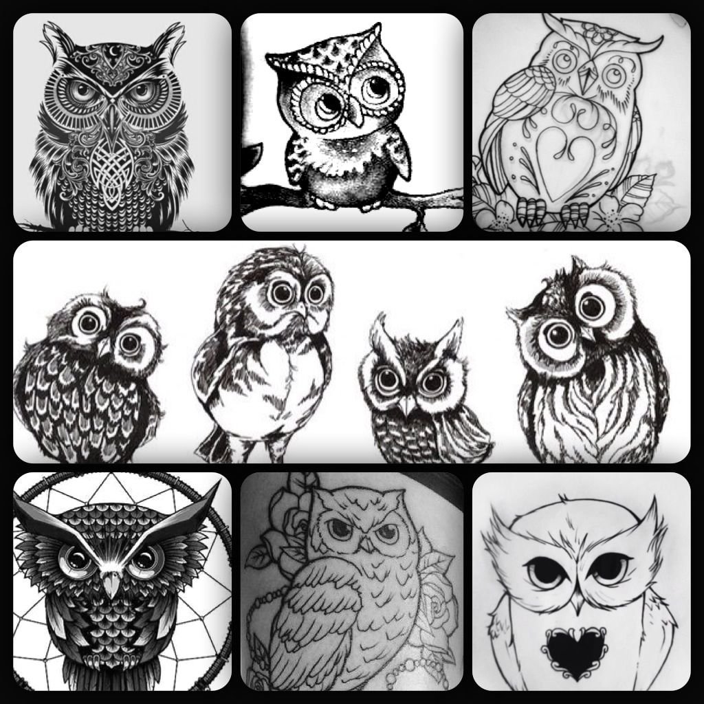 Совенок эскиз